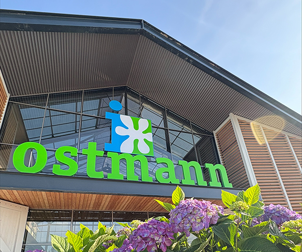 Ostmann Intratuin Emden