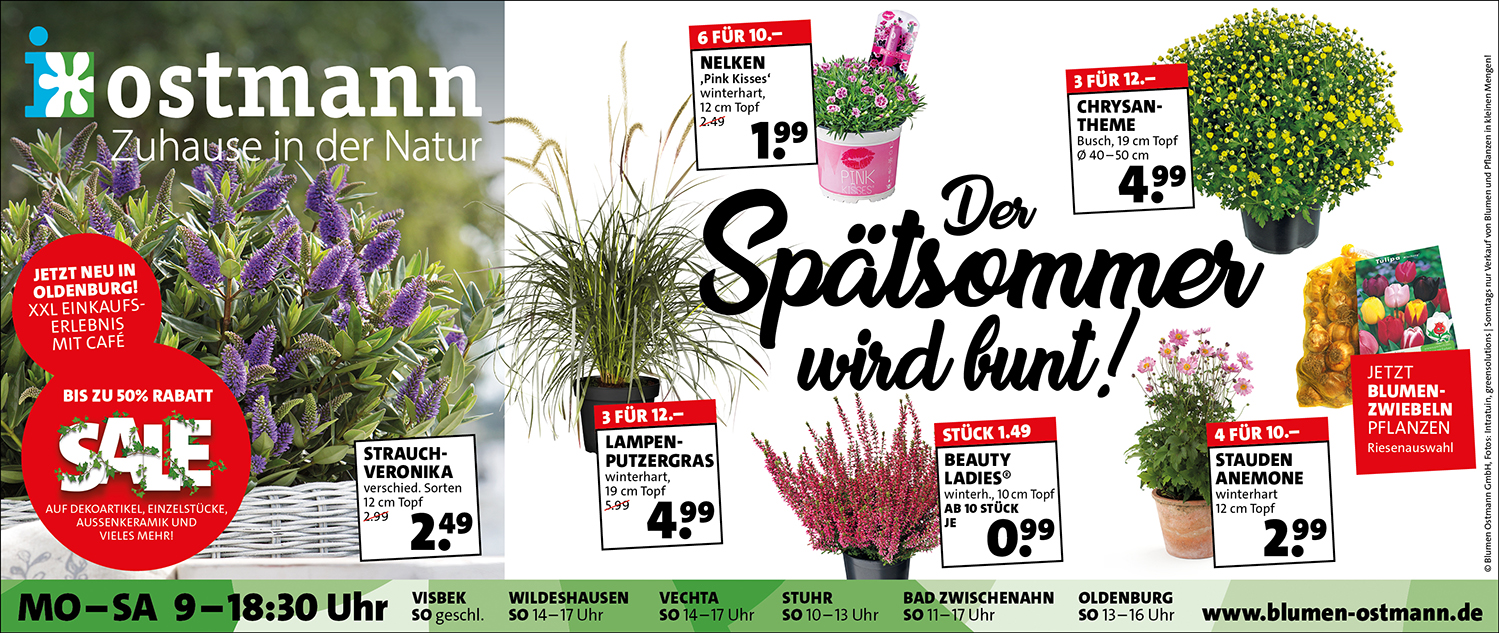 Blumen Ostmann Gartencenter in Visbek, Wildeshausen, Vechta, Stuhr