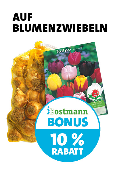 Bonus