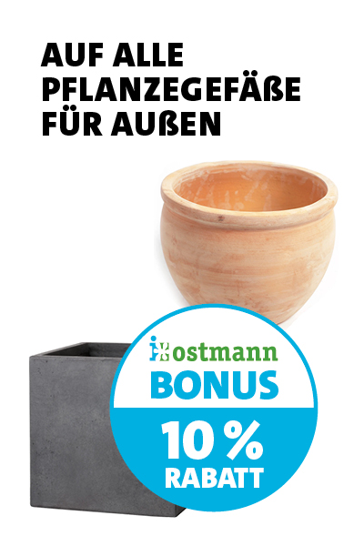 Bonus Topf