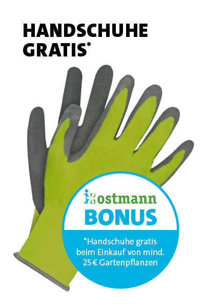 Bonus Handschuhe