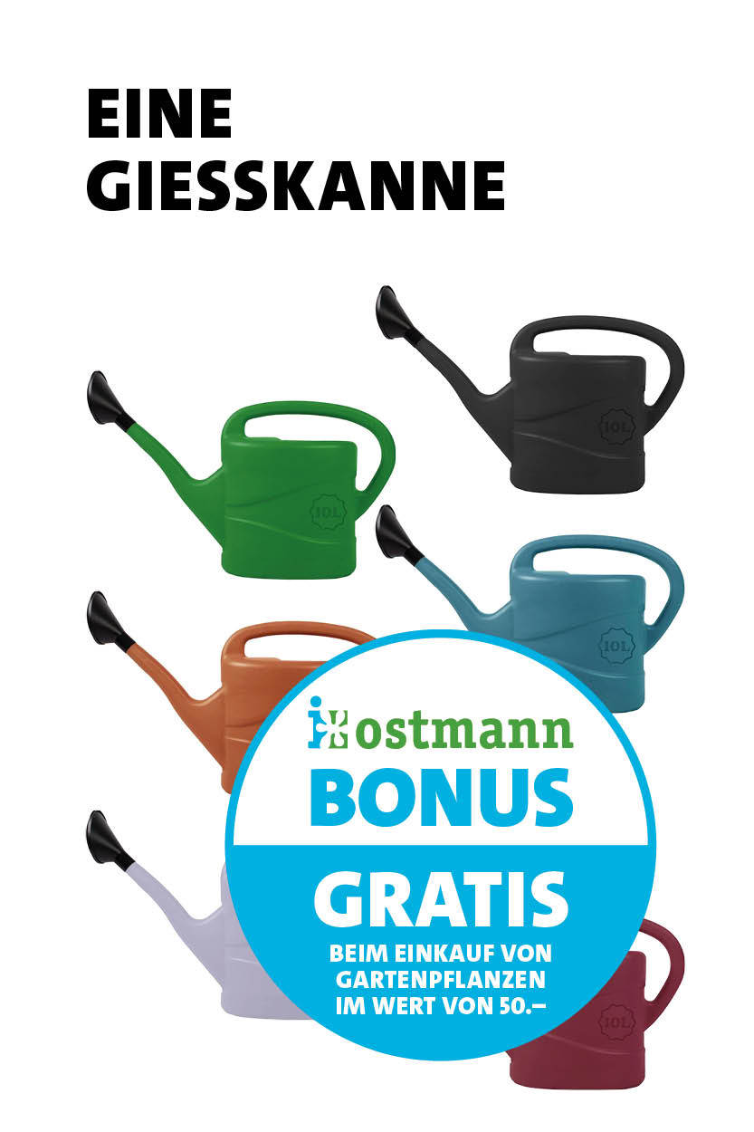 Bonus Giesskanne