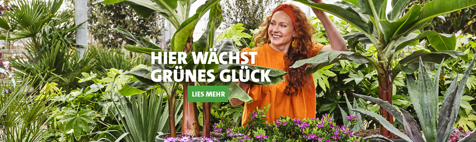 Grünes Glück